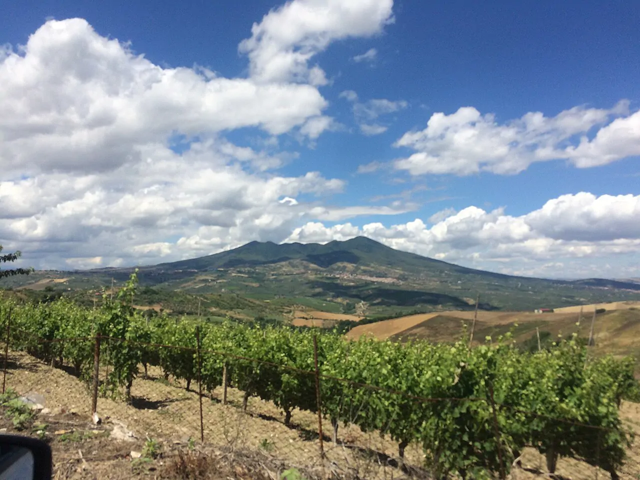 Aglianico del Vulture